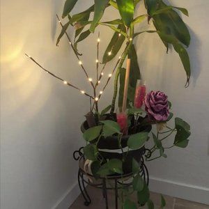 Decoration Lighting for Weddings, Birthdays, and Christmas